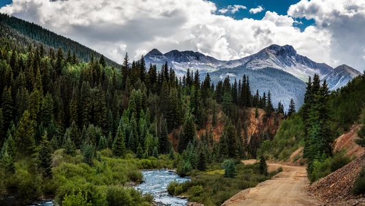 buda-adrian-ioan-poveste-de-succes-dubai-apuseni